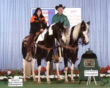 Waynes Spirit Of Texas